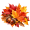 fall sale icon